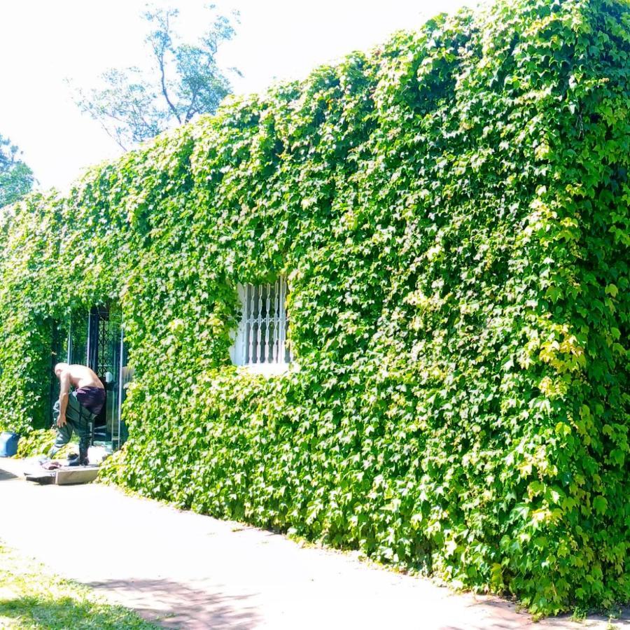 Sitio Sapiranga Apartment Exterior photo